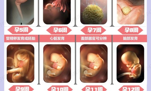 维生素c和b2可以吃多久、维生素b2和c的最佳服用时间 -维c维b2禁忌网