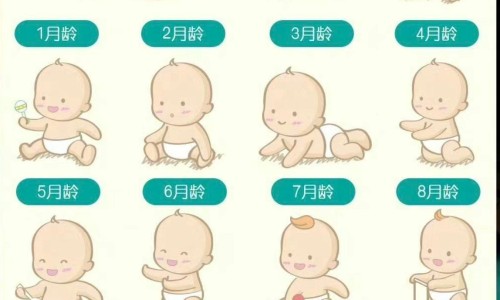 b2和维c同吃-维生素c和b2可以吃多久、维生素b2和c的最佳服用时间 -维c维b2禁忌网