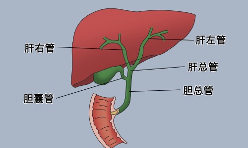 维生素b2和c不能随便吃-维生素c和b2可以吃多久、维生素b2和c的最佳服用时间 -维c维b2禁忌网